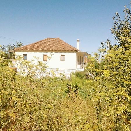 שאבס Sunnyside Home מראה חיצוני תמונה