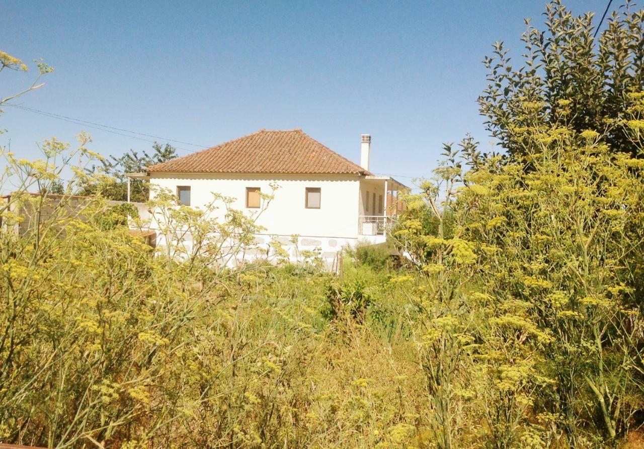 שאבס Sunnyside Home מראה חיצוני תמונה